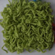 sam_0135