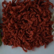 sam_01395