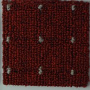 sam_01447