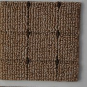 sam_0156