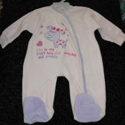 sam_0174
