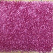 sam_01769