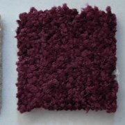 sam_01777