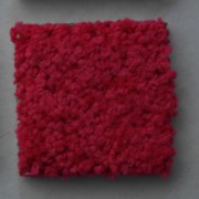 sam_01947