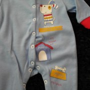 sam_02041