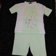 sam_02333