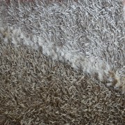 sam_0253
