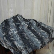sam_0261