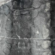 sam_0263