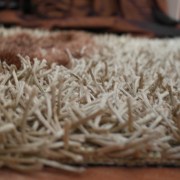 sam_02652