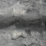 sam_02673
