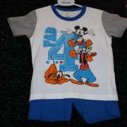 sam_0267