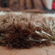 sam_0268