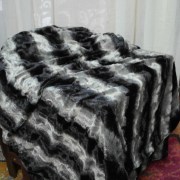 sam_02707