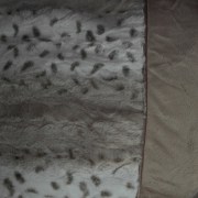 sam_02728