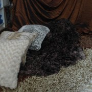 sam_02745