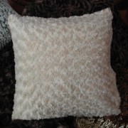 sam_02779