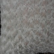 sam_0278
