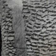 sam_0280