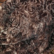 sam_0281