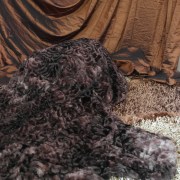 sam_02828