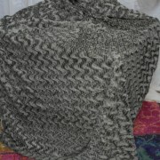 sam_02861