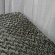 sam_02877