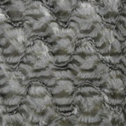 sam_0289