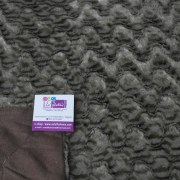 sam_02938