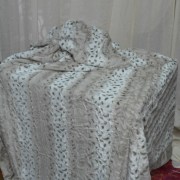 sam_02949