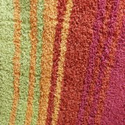 sam_0299