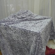 sam_03001