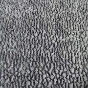 sam_03014