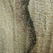 sam_0301