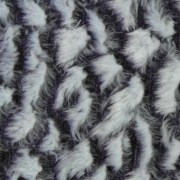 sam_03025