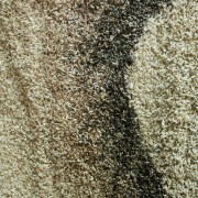 sam_0302