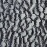 sam_03036