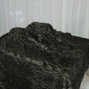 sam_03054