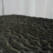 sam_0309