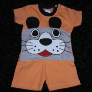 sam_03341