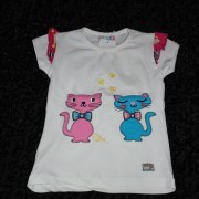 sam_03677