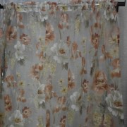 sam_03916