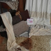 sam_0407