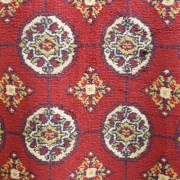 sam_0414