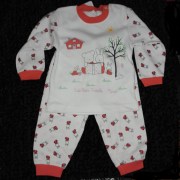 sam_04184