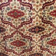 sam_0454