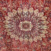 sam_0458