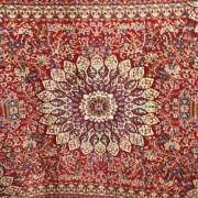 sam_0459
