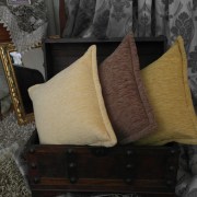 sam_0487