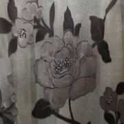sam_05005